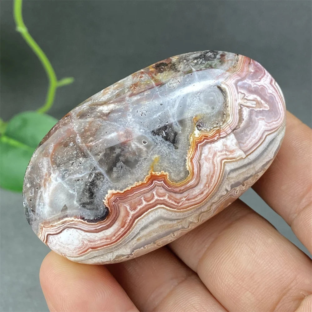 Red Lace Crazy Agate-ToShay.org