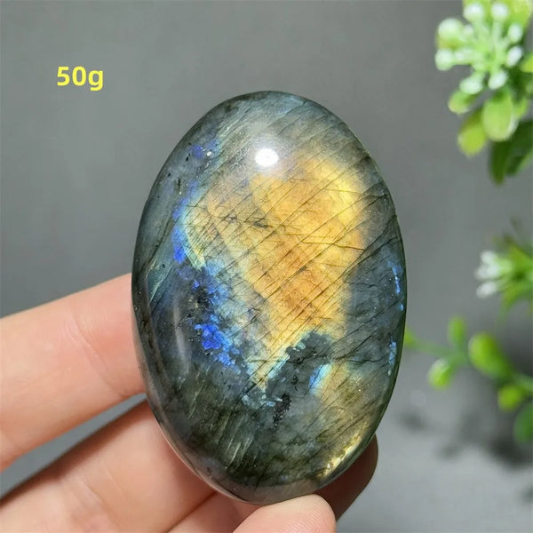 Blue Labrador Palm Stone-ToShay.org