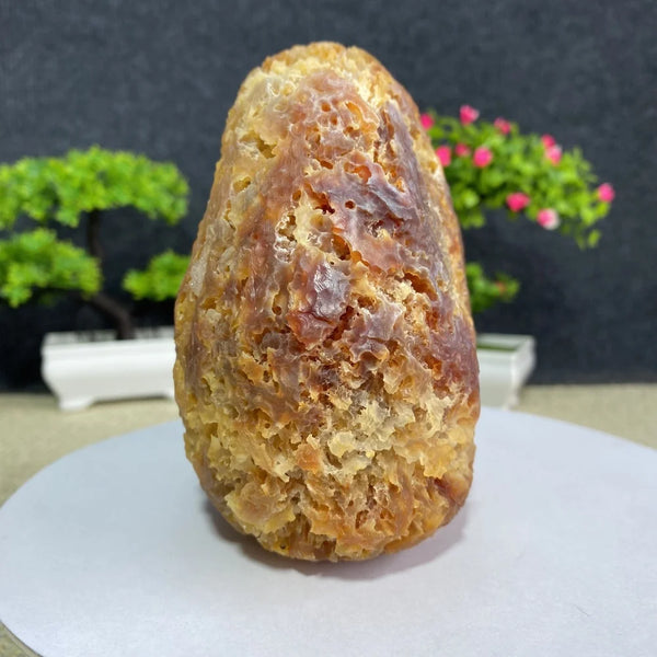 Yellow Honeycomb Agate-ToShay.org