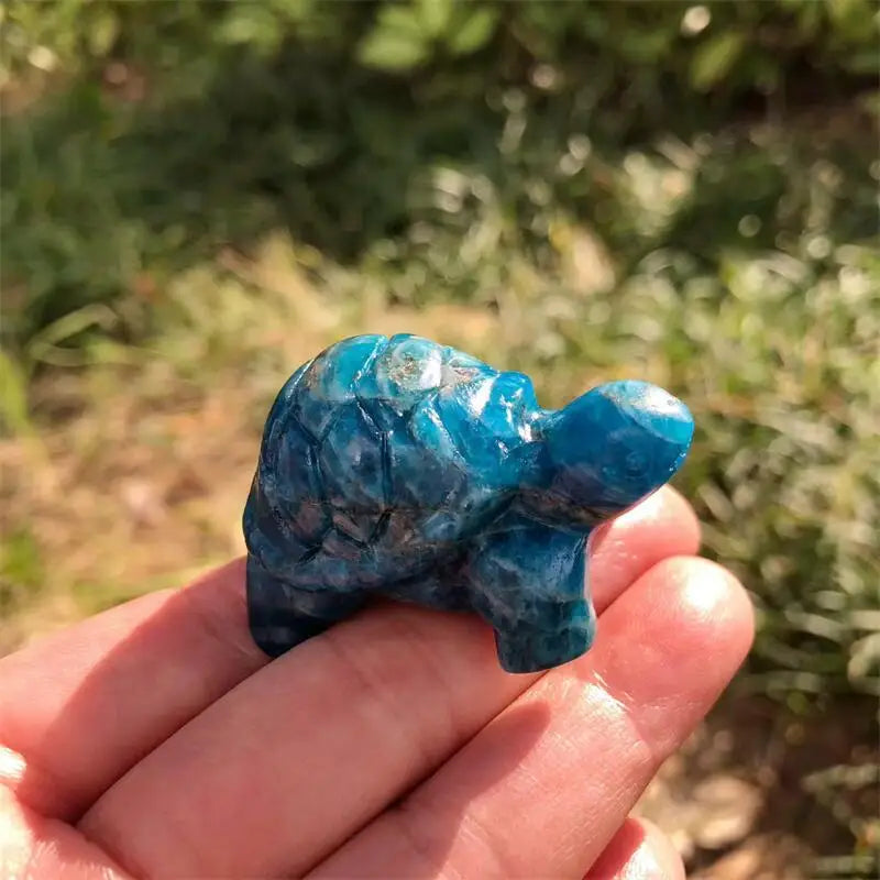 Blue Apatite Tortoise-ToShay.org