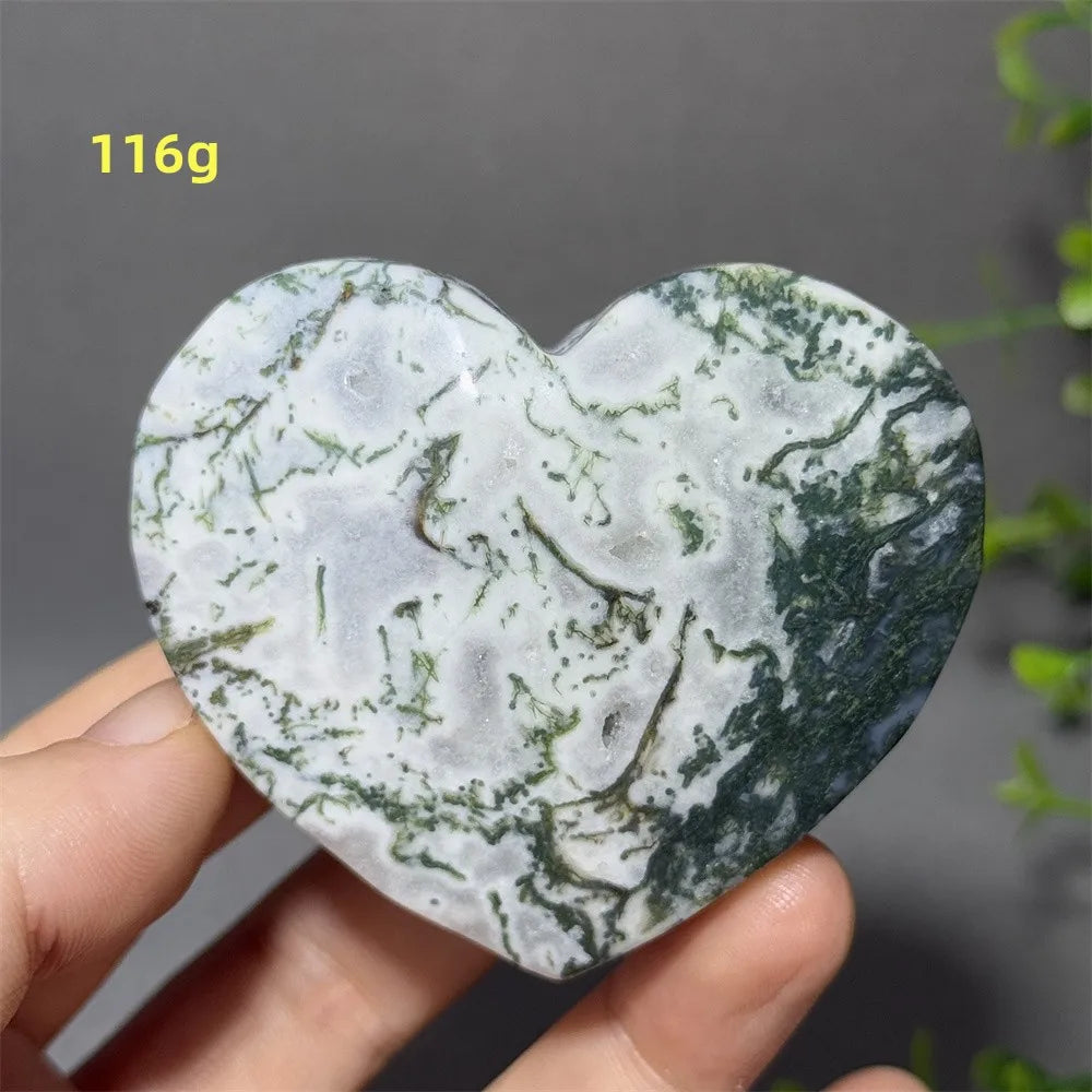 Green Aquatic Moss Agate-ToShay.org