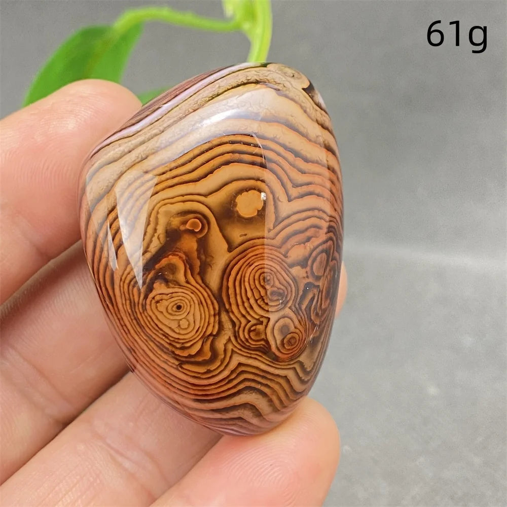 Orange Silk Lace Agate-ToShay.org