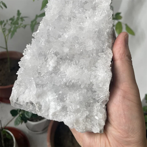 White Crystal Quartz Cluster-ToShay.org