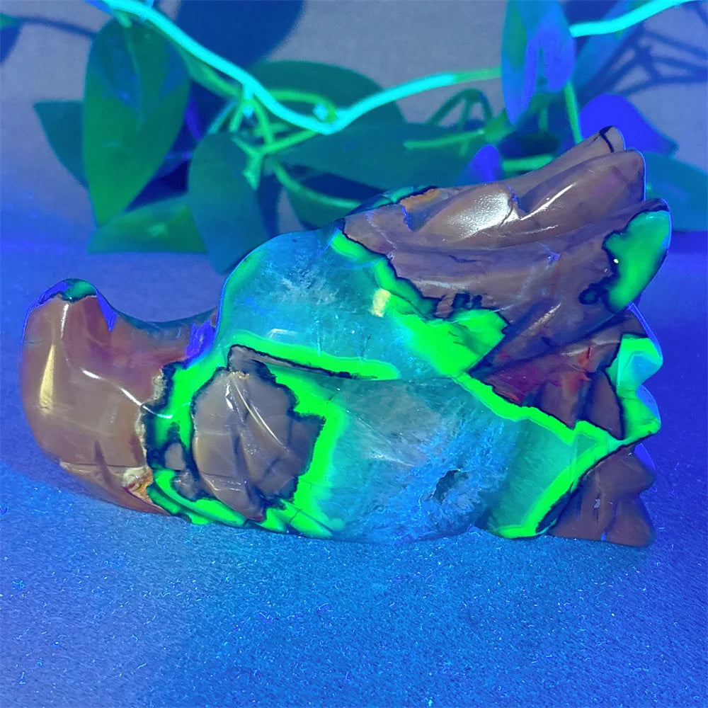 Fire Agate Dragon Skull-ToShay.org