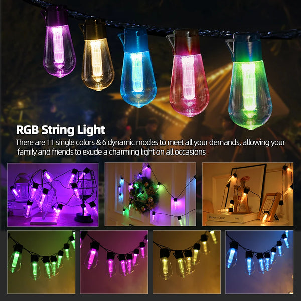 Bulb Light String-ToShay.org