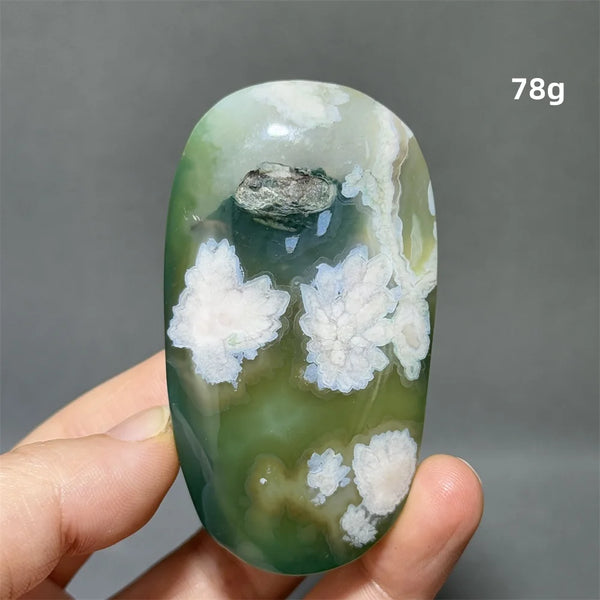 Green Sakura Agate-ToShay.org