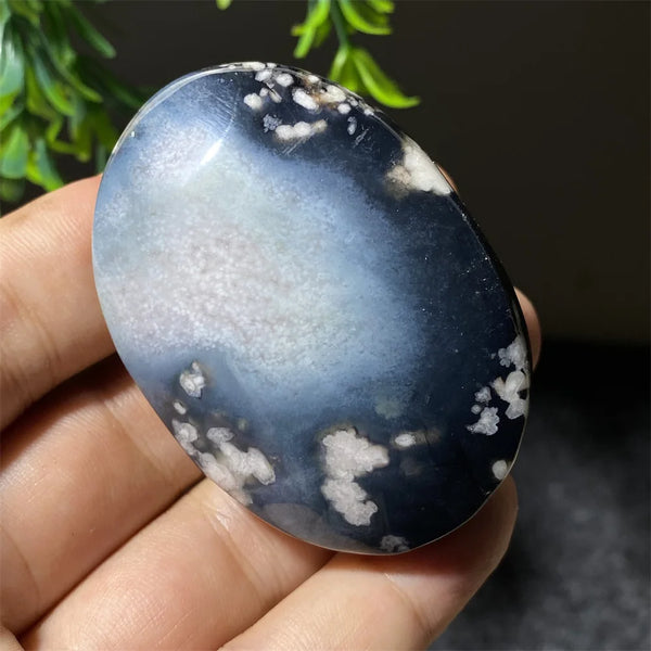 Black Flower Agate-ToShay.org