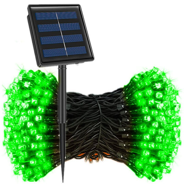 String Fairy Lights-ToShay.org