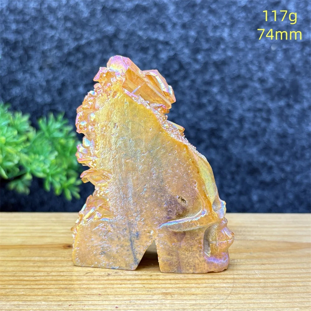 Rainbow Aura Skull Cluster-ToShay.org