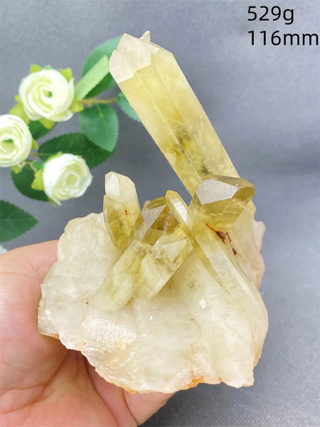 Yellow Quartz Cluster Crystal-ToShay.org