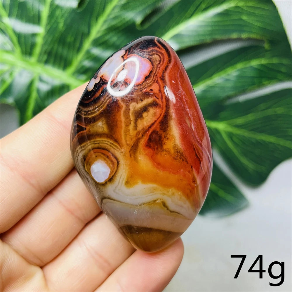 Red Lace Agate-ToShay.org