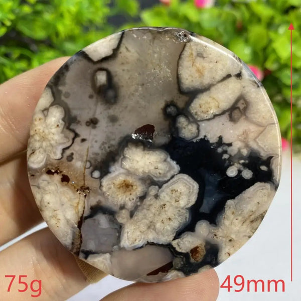 Black Agate Slice-ToShay.org