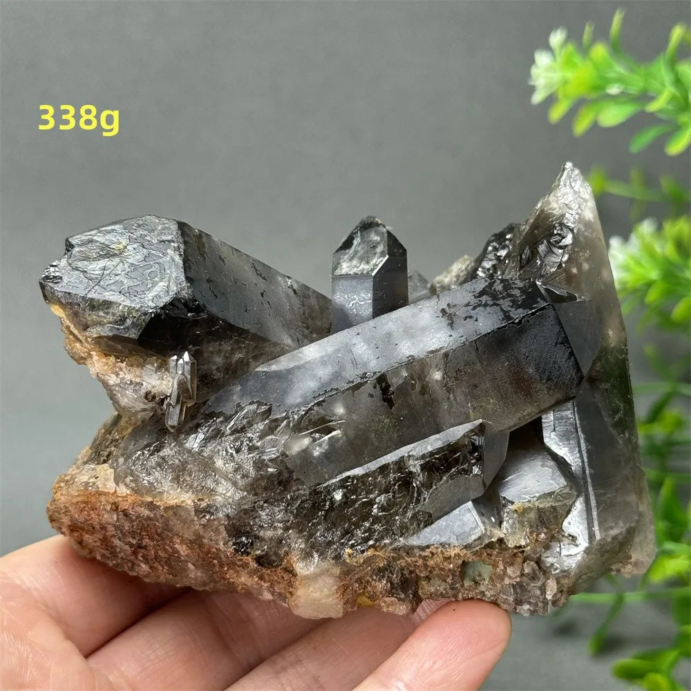 Black Quartz Crystal-ToShay.org