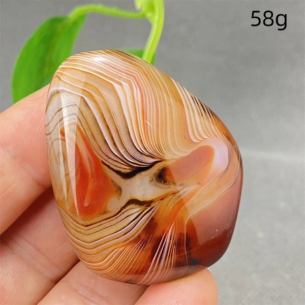 Orange Silk Lace Agate-ToShay.org