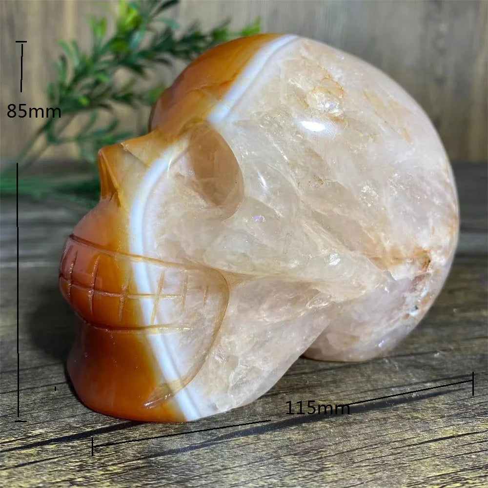 Red Agate Carnelian Skull-ToShay.org