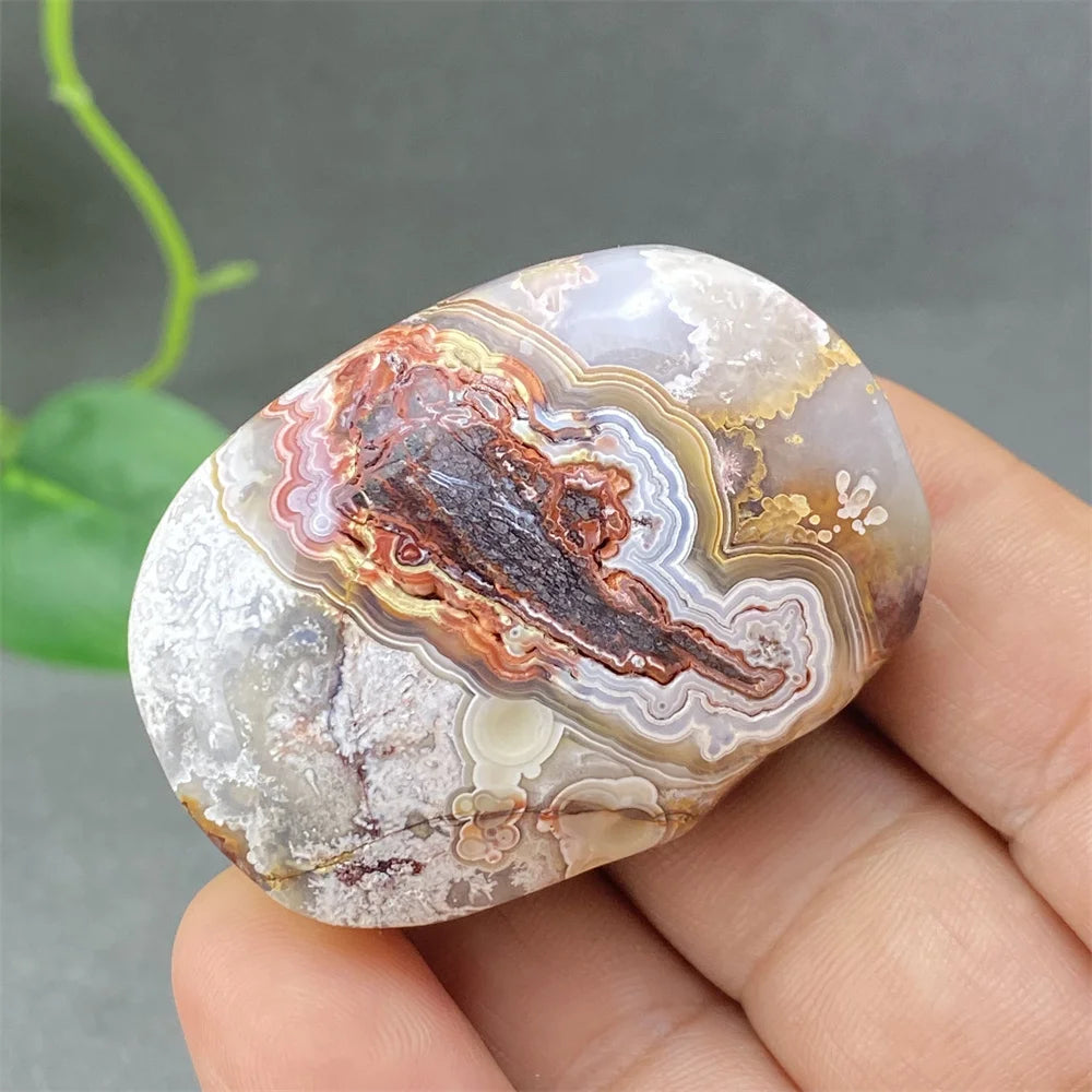 Red Lace Crazy Agate-ToShay.org