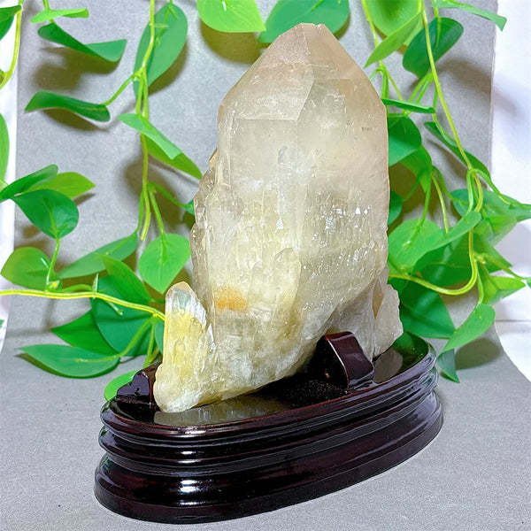 Clear Quartz Citrine Cluster-ToShay.org