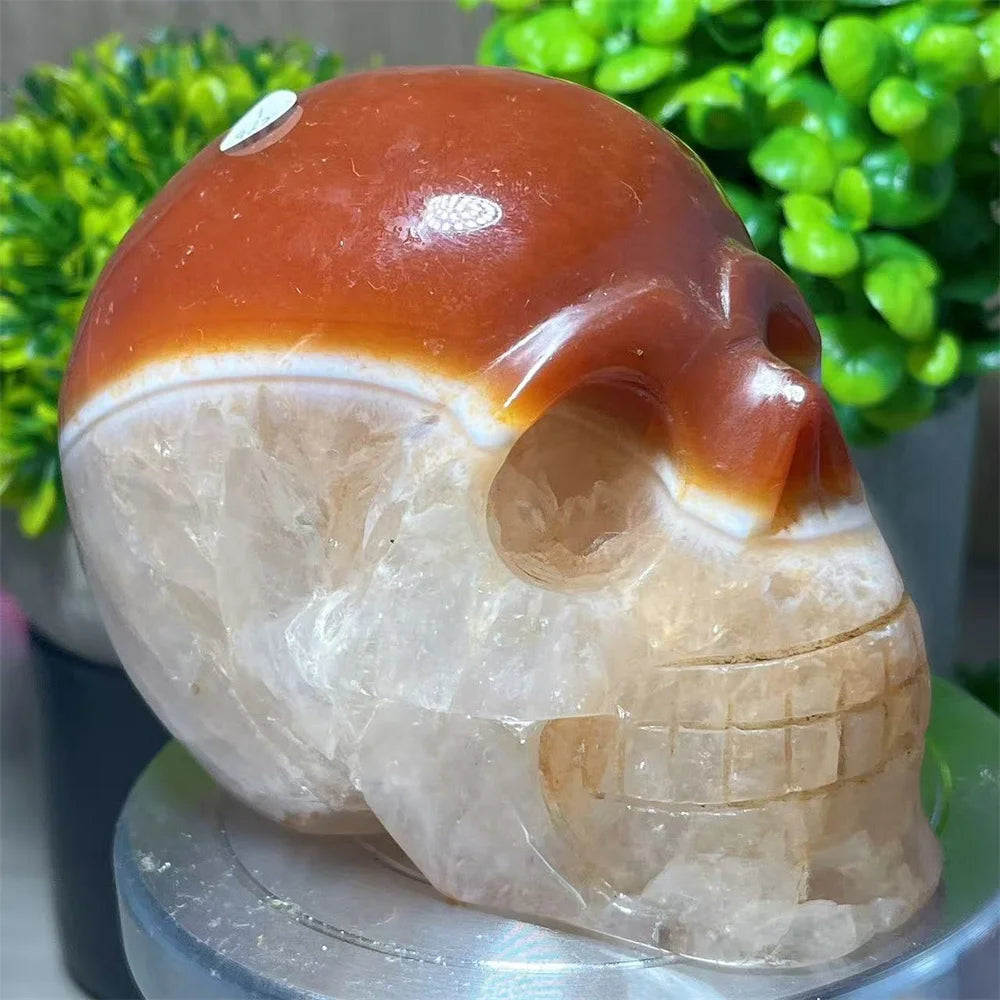 Red Carnelian Skull-ToShay.org