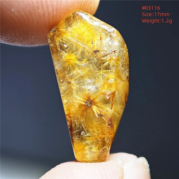 Gold Rutilated Quartz-ToShay.org