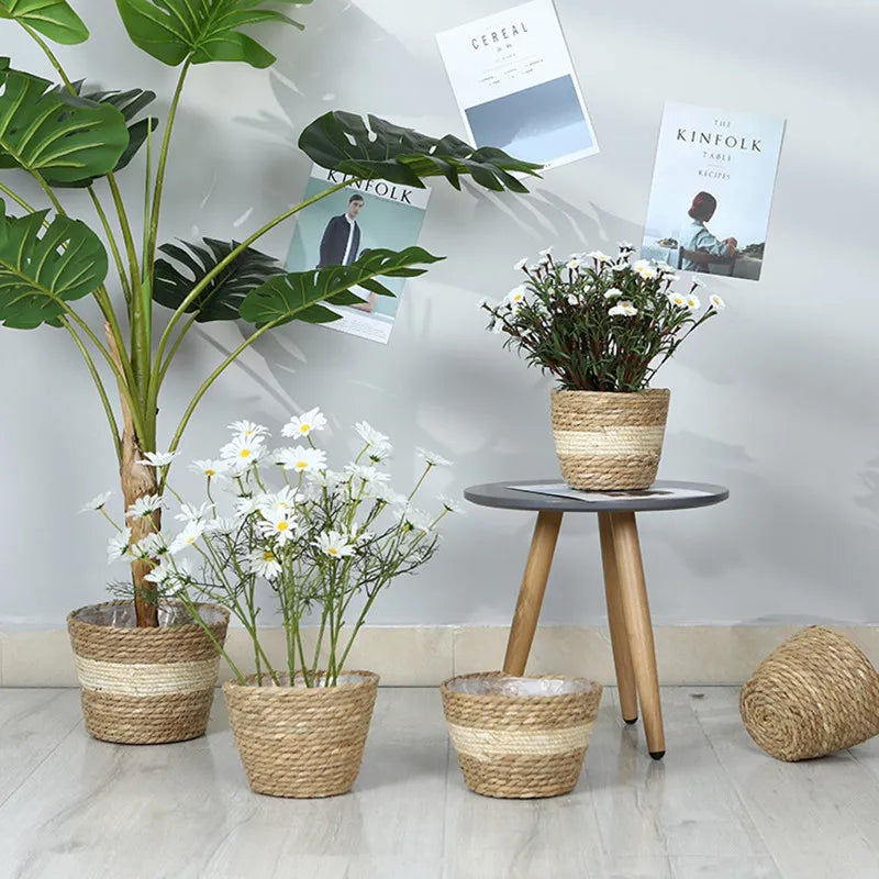 Straw Pot Plant Basket-ToShay.org