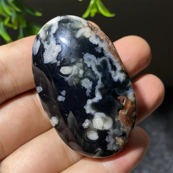 Black Flower Agate-ToShay.org
