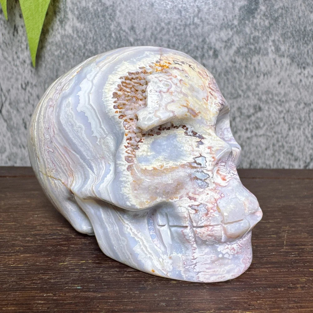 Grey Crazy Lace Agate Skull-ToShay.org