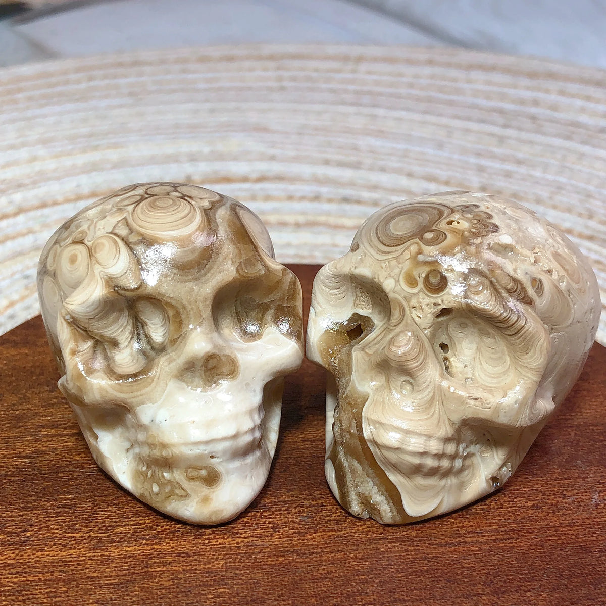 Brown Chocolate Calcite Skull-ToShay.org