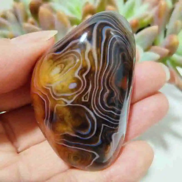 Red Sardonyx Lace Agate-ToShay.org
