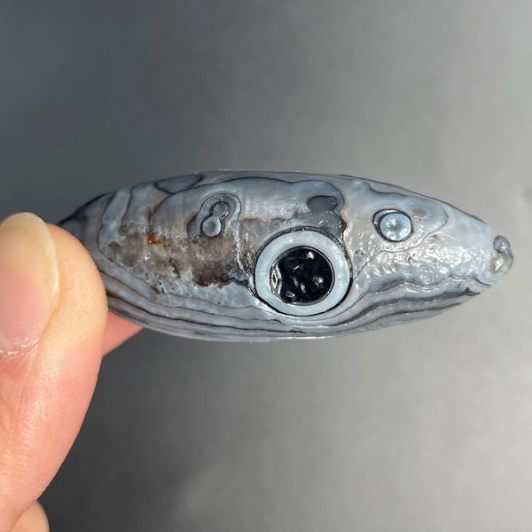 Mixed Gobi Agate Eye Rock-ToShay.org