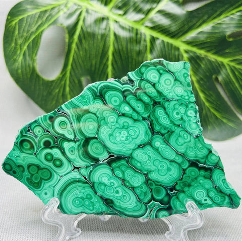 Green Malachite Slice-ToShay.org