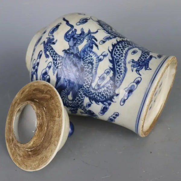Blue White Dragon Jar-ToShay.org