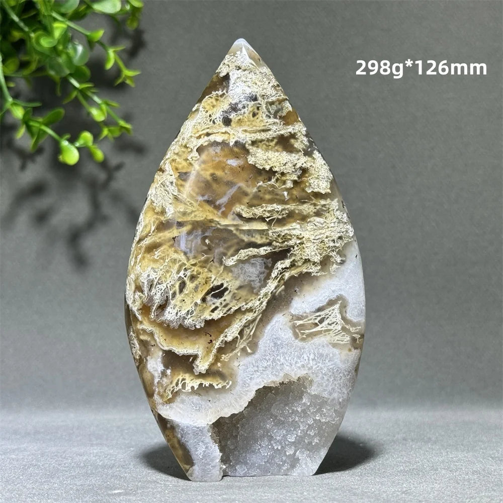 Green Aquatic Plant Agate-ToShay.org
