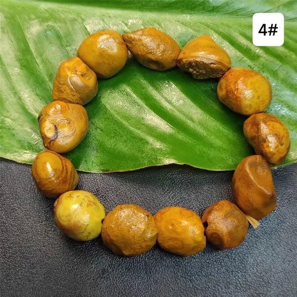 Yellow Money Stone Bracelet-ToShay.org