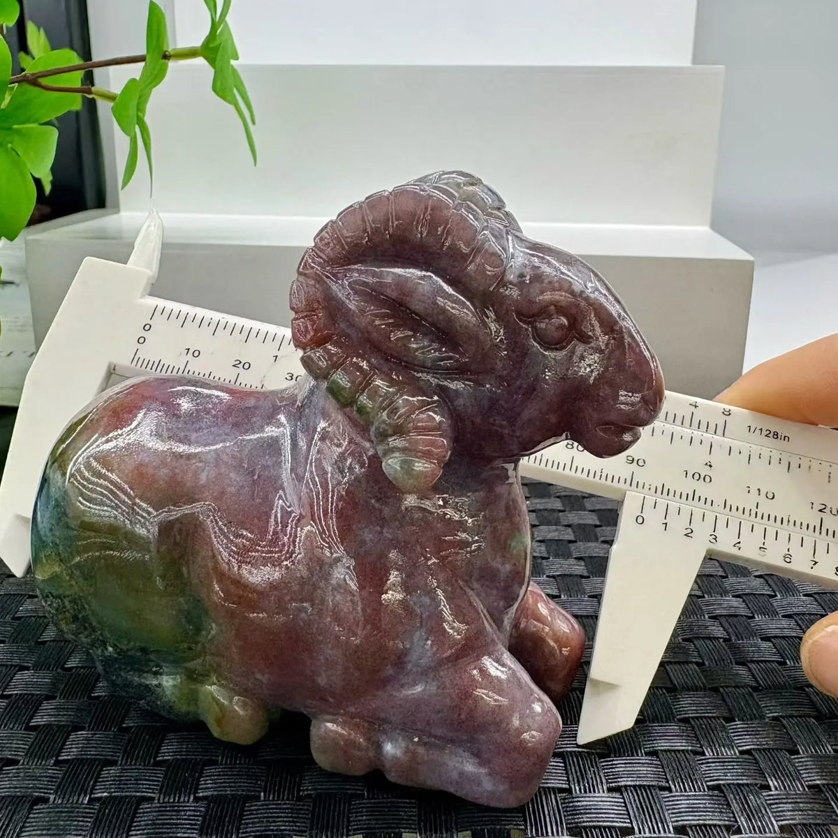 Mixed Agate Ram-ToShay.org