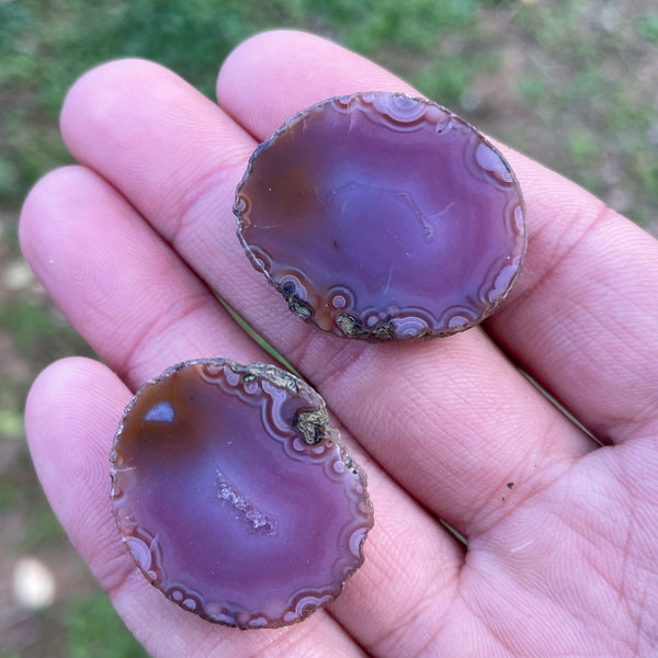 Mixed Agate Geode Egg-ToShay.org