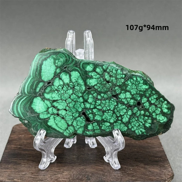 Green Malachite Raw Slice-ToShay.org