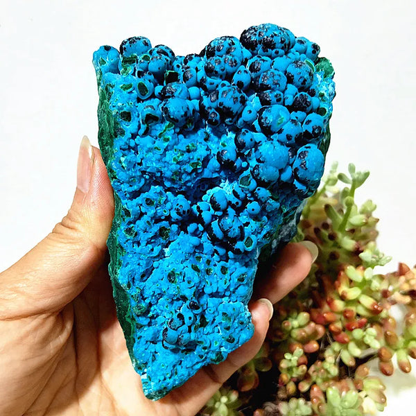 Blue Chrysocolla Raw Rock-ToShay.org