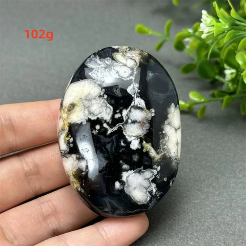 Black Cherry Blossom Agate-ToShay.org