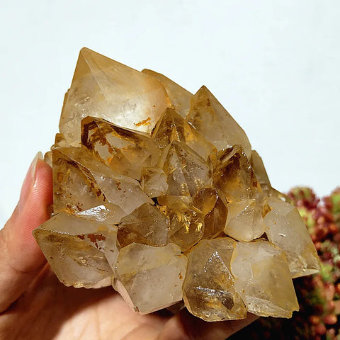 Yellow Mud Sparkling Clusters-ToShay.org