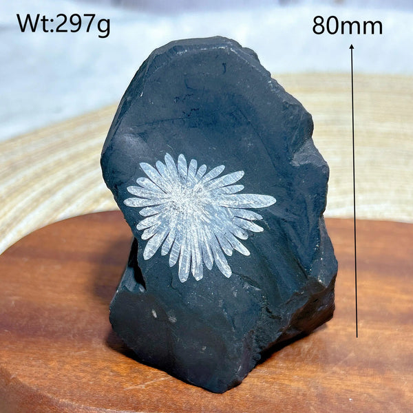 Black Chrysanthemum Raw Stone-ToShay.org