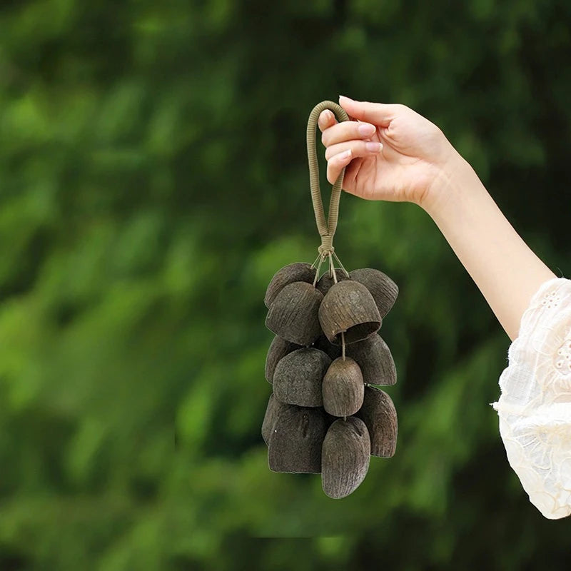 Shell Nut Bell Chimes-ToShay.org