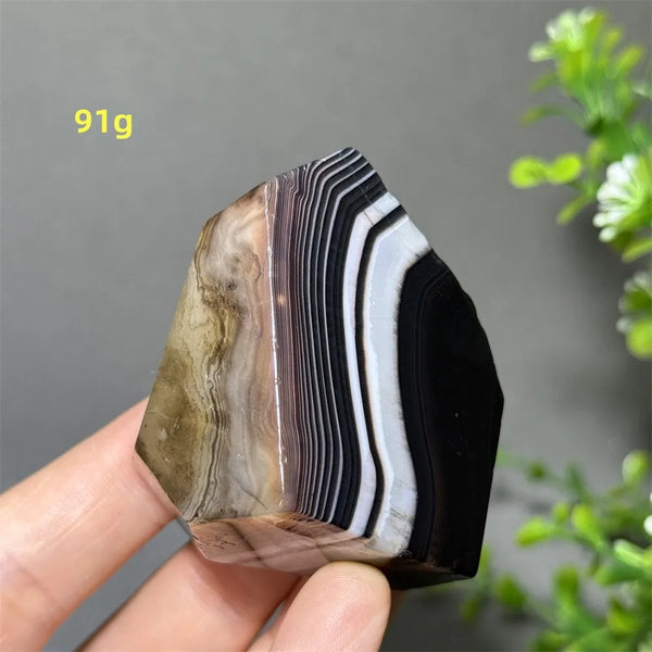 Black Striped Agate-ToShay.org