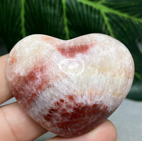 Pink Pork Stone Heart-ToShay.org