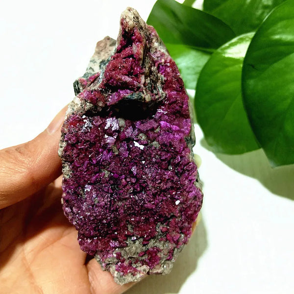 Pink Cobaltocalcite Raw Rock-ToShay.org