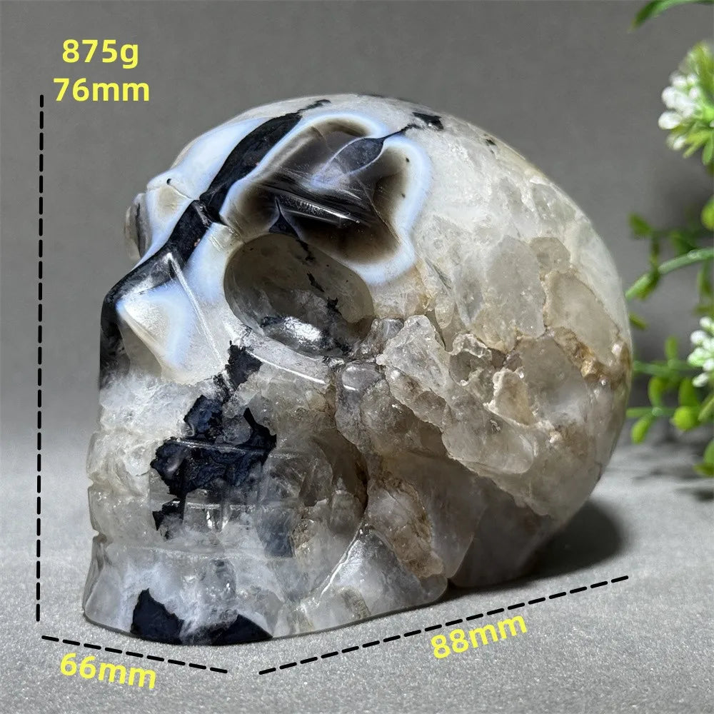 Black Agate Skull-ToShay.org