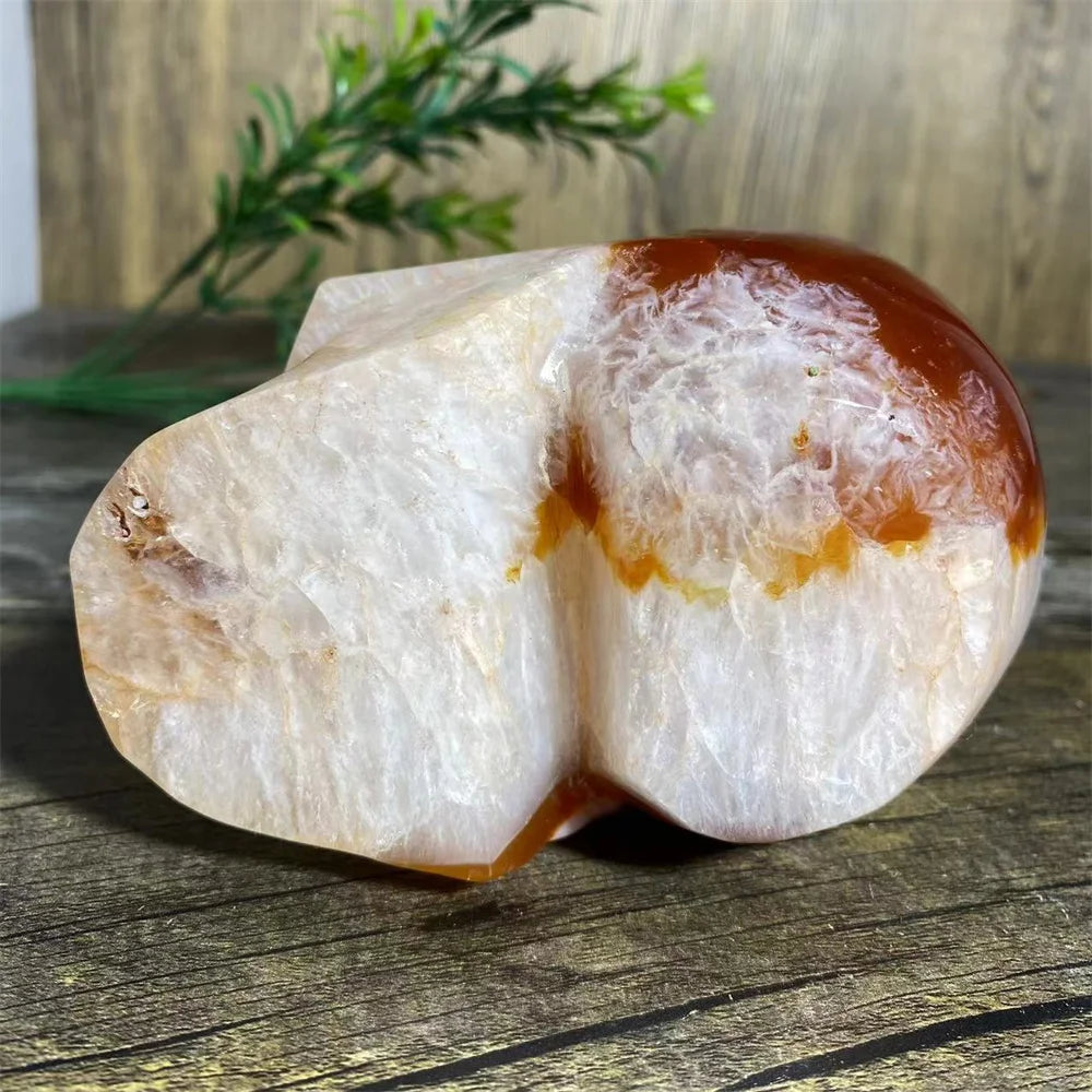 Red Agate Carnelian Skull-ToShay.org