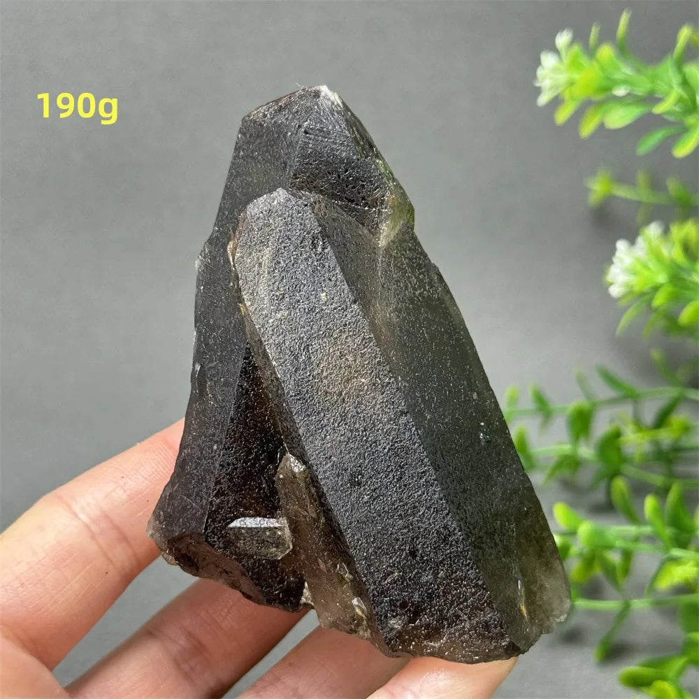 Black Quartz Crystal-ToShay.org