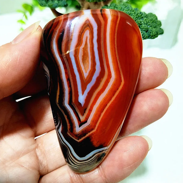 Red Lace Sardonyx Agate-ToShay.org