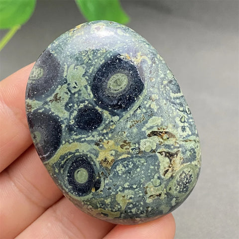 Green Peacock Eye Stone-ToShay.org