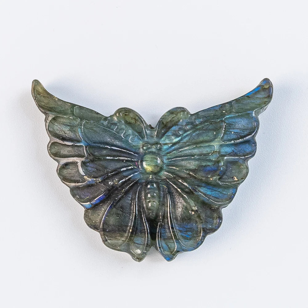 Blue Labradorite Butterfly-ToShay.org